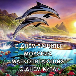Всемирный день защиты морских млекопитающих (День кита) . Открытка. Картинка.
