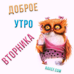 Доброе утро вторника! Картинка! Открытка! С добрым утром! Вторник!