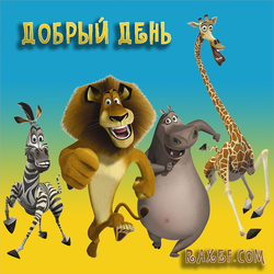 Добрый день! Открытка! Животные Мадагаскара! Лев, жираф, бегемот, зебра! Прикольная картинка!