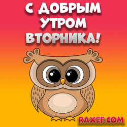 Картинка с совой! Доброе утро вторника! Сова! Прикольная открытка, смешная, веселая, классная, новая!