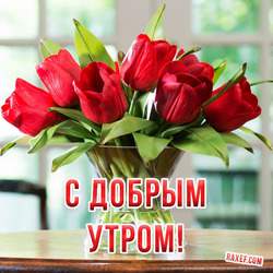 Открытка, картинка с красными тюльпанами в вазе. С добрым утром!