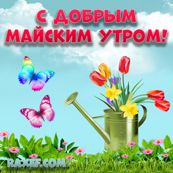 С добрым майским утром! Картинка, открытка с цветами, бабочками, лейкой, тюльпанами!