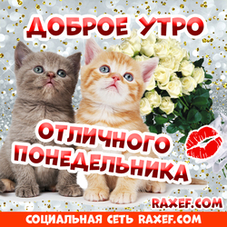 Доброе утро, понедельник! Проза, открытки с котятами, цветами и поцелуями! Открытки для родных и друзей!