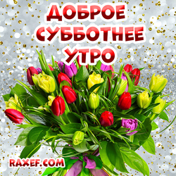 Открытка Доброе Субботнее Утро! Картинка с цветами! Тюльпаны!