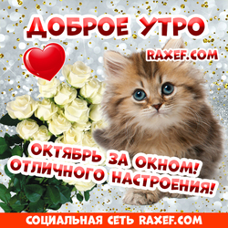 С добрым утром октября! Доброе октябрьское утро! Пожелания в прозе! Открытки и картинки с блестками!