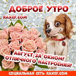 Стихи на тему Доброе августовское утро! С добрым утром! Август за окном! Всем прекрасного настроения! Открытки для любимых и родных, для друзей!