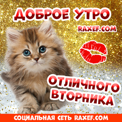 Стихи на тему Доброе утро вторника! Открытки с котятами! Пожелания отличного вторника!