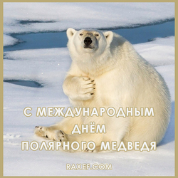 С международным днем полярного медведя (открытка, картинка, поздравление)