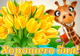 Доброго летнего дня. Открытка с жирафом и жёлтыми тюльпанами с летним пожеланием хорошего дня!