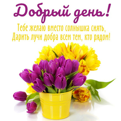 Добрый день. Классная открытка с яркими тюльпанами и пожеланием доброго дня! Открытка. Картинка. Пожелания доброго дня.