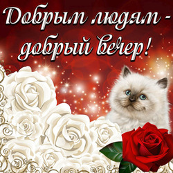 Добрым людям - добрый вечер! Красивая картинка доброго вечера с милым котиком и розами для вас!