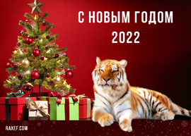 Открытка на красном фоне с тигром, украшенной ёлкой и подарками к новому 2022 году.