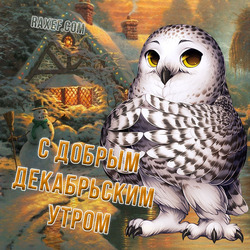 С добрым декабрьским утром! Декабрь! Утро! Доброе утро декабря! Декабрьское утро! Картинка! Открытка!