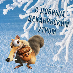 С добрым декабрьским утром, открытки и пожелания!. Открытка. Картинка. Доброго всем утра вам, прекрасного настроения.