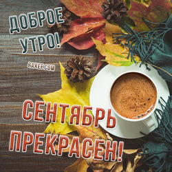 С добрым сентябрьским утром. Прекрасного всем сентября и доброго утра сейчас! Картинка!