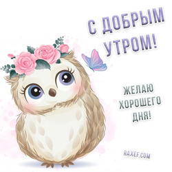С добрым утром. С добрым утром! Желаю хорошего дня! Картинка с милой совой!