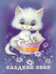 Сладких снов! Красивая анимационная картинка для вас с белыми, милашными котиками!