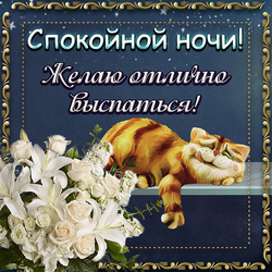 Открытка. Картинка. Спокойной ночи! Желаю отлично выспаться! Красивая открытка со спящим рыжим котиком!