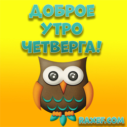 Доброе утро четверга! Открытка с совой! Сова! Картинка с совушкой!