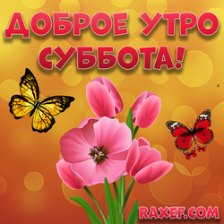 Доброе утро субботы! Картинка с цветами и бабочками!