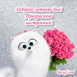 Доброго летнего дня! Хорошего дня! Лето! Прекрасного настроения! Собачка Гиджет и розы! Букет роз!