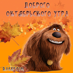 Доброго октябрьского утра! Открытка! Утро октября с пёсом Дюком из мультика "Тайная жизнь домашних животных"!...