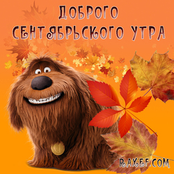 Доброго сентябрьского утра! С добрым утром сентября! Открытка с осенними листьями и псом Дюком из мультика "Тайная...