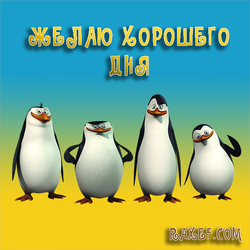 Желаю хорошего дня! Открытка с пингвинами из Мадагаскара!  Всем привет, ребят! Вот такая прикольная и яркая открытка...