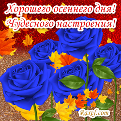 Хорошего осеннего дня! Чудесного настроения! Открытка с розами! Синие розы! Розочки! Осень! Букет!