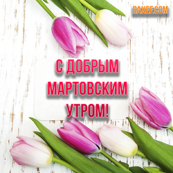 Красивая открытка с добрым мартовским утром! Картинка с тюльпанами, с цветами! Весенние цветы для самых милых дам! ...