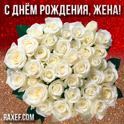 Открытка жене на день рождения с розами! Белые розы!