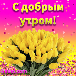 Открытка с добрым утром с тюльпанами! Жёлтые тюльпаны, цветы, весна, букет тюльпанов для женщины, девушки, девочки...