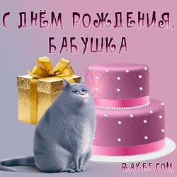 С днём рождения бабушке от внучки, от девочки! Картинка с розовым тортом, кошкой Хлоей и с золотой подарочной коробкой!...