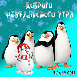 С добрым февральским утром! Открытка с пингвинами из Мадагаскара и со снеговиком в красной шапочке и в шарфе!  Доброго...