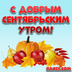 С добрым сентябрьским утром! Доброе осеннее утро сентября! Картинка, открытка осенняя с жёлтыми листьями, оранжевой...