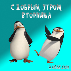 С добрым утром вторника! Открытка с пингвинами из Мадагаскара! Картинка! Всем желаю прекрасного вторника! Пусть всё,...