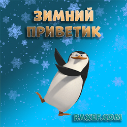 Зимний приветик! Открытка с Ковальским! Пингвин из Мадагаскара шлёт вам свой привет! Скачайте мою открытку, если она...