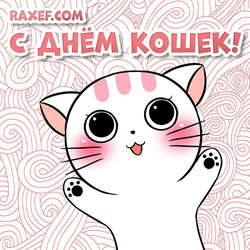 Открытка на русском языке! С международным днём кошек! Красивая открытка с белой кошкой!