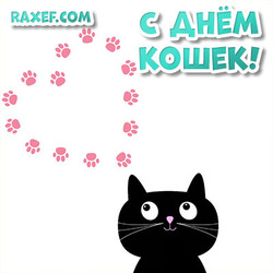 Открытка с днем кошек! Красивая открытка с черным котом и сердечком!
