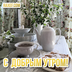 Вкусное, солнечное, тихое утро сегодня! Всем прекрасного настроения! Доброе утро!