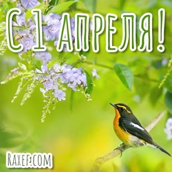 1 апреля! Открытка, картинка с цветами и с птицей! Всем весеннего настроения и счастья!