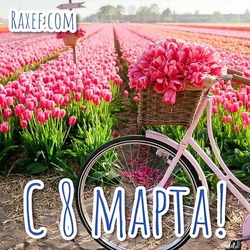 Открытка с 8 марта! Картинка с тюльпановым полем и с велосипедом, корзинка которого вся полна цветов!