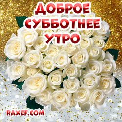 Доброе субботнее утро! Открытка! Картинка с розами! Розочки для самого близкого и дорогого человека!