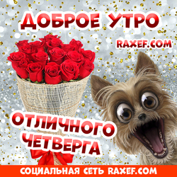 Доброе утро, четверг! Отличного четверга! Доброе утро! Открытка! Картинка с красными розами и прикольной собачкой!