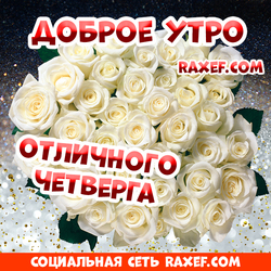 Доброе утро, четверг! Прекрасная открытка с белыми розами! Большой букет роз!