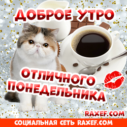 Доброе утро, понедельник! Открытка с котом! Котик и вкусный завтрак с чёрным кофе! Картинка! Доброе утро, понедельник!