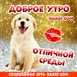 Доброе утро, среда! Открытка Кати Кавериной на тему Доброе Утро Среды! Картинка на блестящем фоне с милым белым пёсиком!