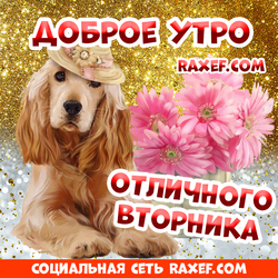 Доброе утро, вторник! Открытка с милой собачкой и нежными цветами! Стих!