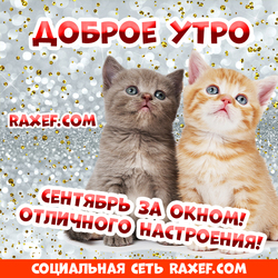 Открытка с котятами! Сентябрь! Доброе утро! Картинка с любовью! Доброе сентябрьское утро!